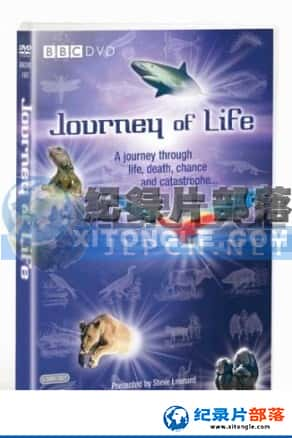 BBC纪录片《生命之旅》Journey of Life-全集[720P][有字幕][网盘]