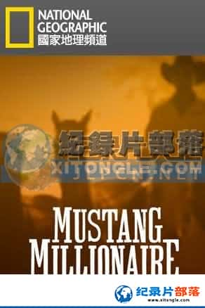 ҵ ˶¼Ƭ-ѱMustang Millionaire-Ѹ