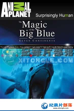  ¼Ƭ-εThe Magic of the Big Blue-Ѹ