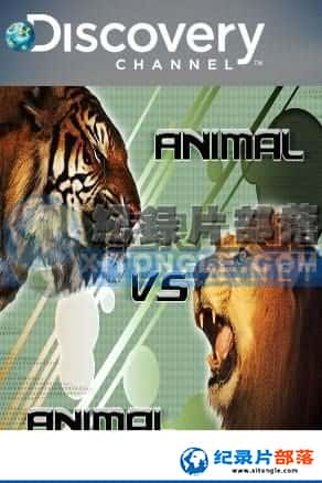 ̽Ƶ ¼Ƭ-޴ԾAnimal Face - Off-Ѹ