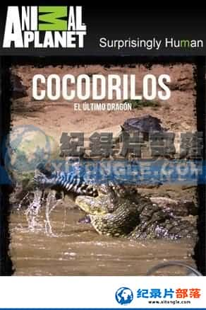  ¼Ƭ-塷Crocodiles The Last Dragon-Ѹ