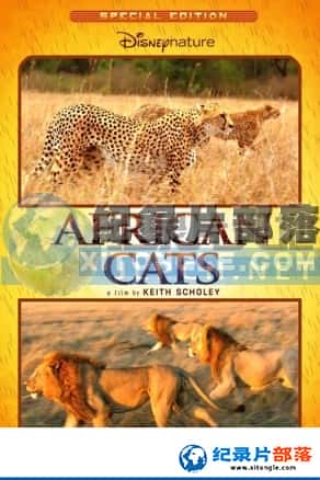 Ƶ¼Ƭ-èƣȡAfrican Cats-Ѹ