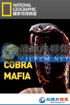 ҵ ¼Ƭ-ֵ۾ߡCobra Mafia-Ѹ