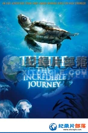 Ƶ¼Ƭ-꣺֮áTurtle: The Incredible Journey-Ѹ