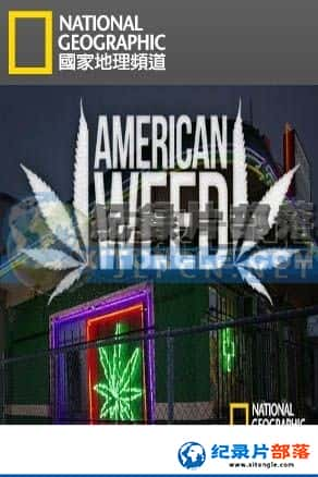 ҵ Ѱ¼Ƭ-ҩôԽΡAmerican Weed-Ѹ