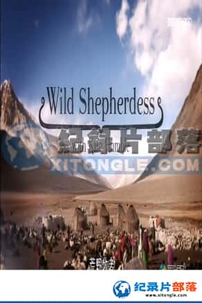 BBCʵ¼Ƭ-ҰߡWild Shepherdess-Ѹ