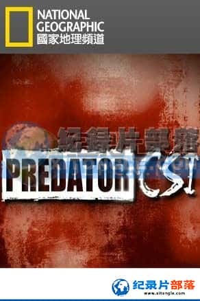 ҵ Ѽ¼Ƭ-ʳ߷ֳPredator CSI-Ѹ