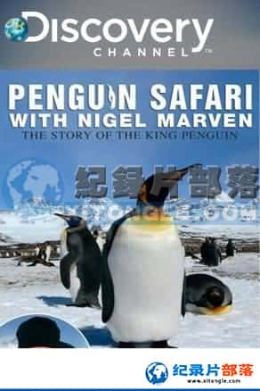 ̽Ƶ ¼Ƭ-׷졷Penguin Safari with Nigel Marven-Ѹ