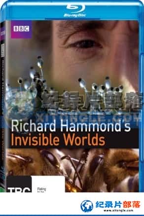 BBC¼Ƭ-¡ɵ£硷BBC Richard Hammond's Invisible Worlds Season 1-1080P/720P/360PѸ