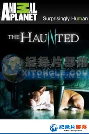  ¼Ƭ-ﳬӦThe Haunted-Ѹ