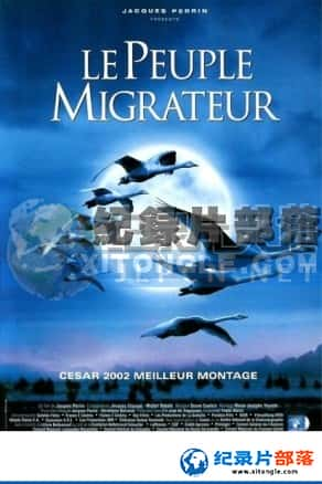 Ƶ¼Ƭ-ǨWinged Migration-Ѹ