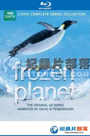 BBC½ؼ¼Ƭ-Frozen Planet.2011-Ѹ