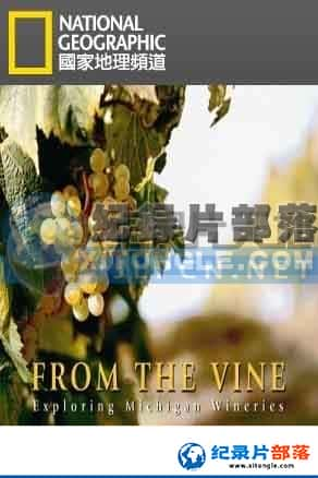 ҵ ʳ¼Ƭ-ѾơExploring The Vine-Ѹ