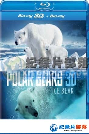 Ƶ¼Ƭ-ܣһİµPolar Bears A Summer Odyssey-Ѹ