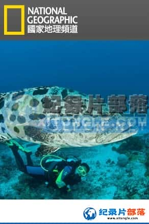 ҵ ¼Ƭ-󱤽ϵLife on the Barrier Reef-Ѹ