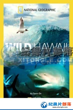 ҵ ¼Ƭ-ҰġWild Hawaii-Ѹ