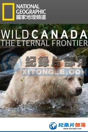 ҵ ½ؼ¼Ƭ-ҰԼôWild Canada-Ѹ