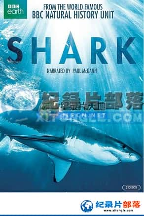 BBC¼Ƭ-ĺѰ衷Shark-Ѹ