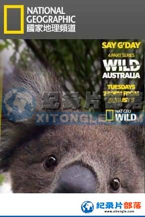 ҵ ½ؼ¼Ƭ-Ұ԰ޡWild Australia-Ѹ