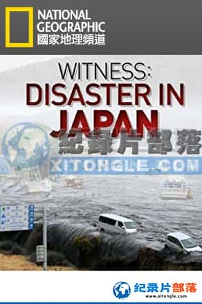 ҵ Ѽ¼Ƭ-ֱ311ձƽ١Withness: Disaster in Japan-Ѹ