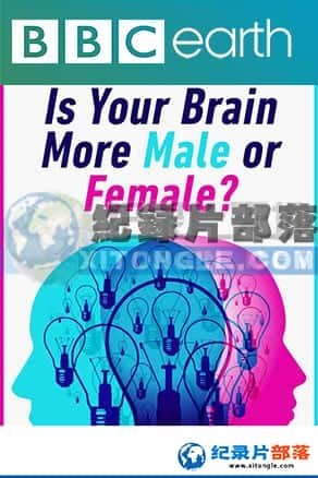 BBCռ¼Ƭ-ŮԴͬIs your brain male or female-Ѹ