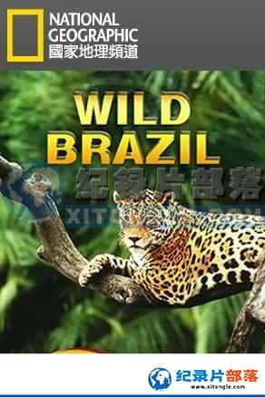 ҵ ½ؼ¼Ƭ-Ұ԰Wild Brazil-Ѹ