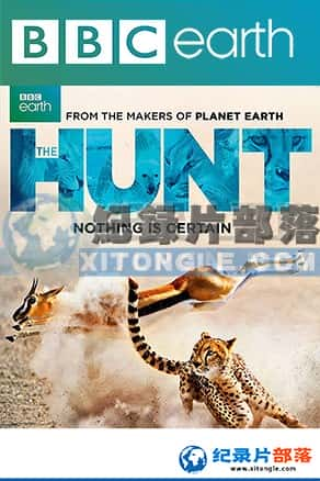 BBC¼Ƭ-ʳսThe Hunt-Ѹ