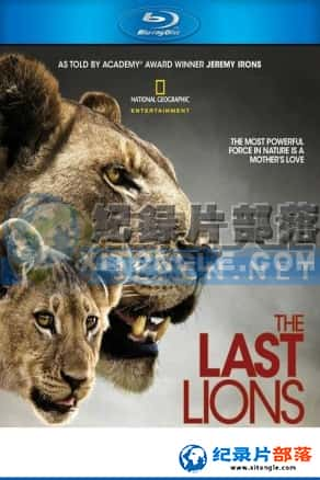 Ƶ¼Ƭ-ʨӡThe Last Lions-Ѹ