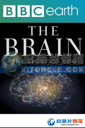 BBCռ¼Ƭ-ĴԿѧThe brain with David Eagleman-Ѹ