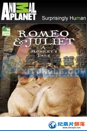  ¼Ƭ-Romeo &amp; Juliet a Monkey's Tale-Ѹ