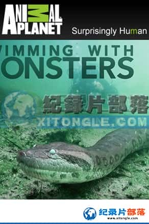  ¼Ƭ-ˮSwimming With Monster: Steve Backshall-Ѹ