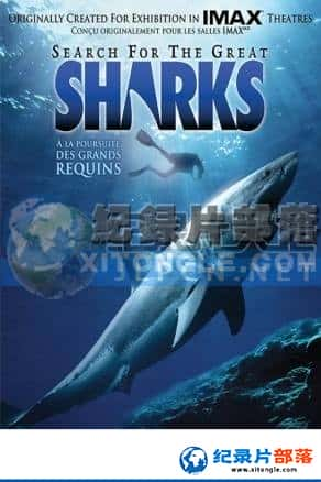 Ƶ¼Ƭ-̽Search For The Great Sharks-Ѹ