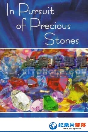 ƵѰ¼Ƭ-Ѱ֮·In Pursuit Of Precious Stones-Ѹ