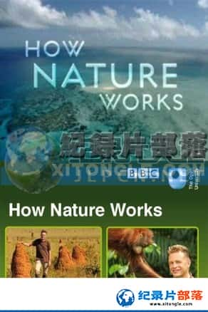 BBC¼Ƭ-ȻHow Nature Works-Ѹ