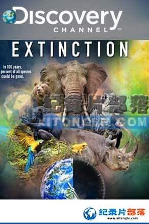 ̽Ƶ ¼Ƭ-ͷRacing Extinction-Ѹ