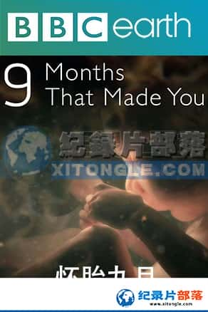 BBCռ¼Ƭ-̥¡9 Months That Made You-Ѹ