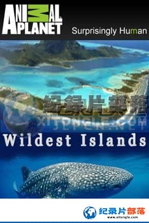 Animal Planet¼Ƭ-ҰءWildest Islands-1080P/720P/360PѸ