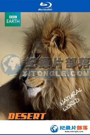 BBC¼Ƭ-Ȼ磺ɳĮʨ/ǵر棺ɳĮʨPlanet Earth Bonus Desert Lions-Ѹ