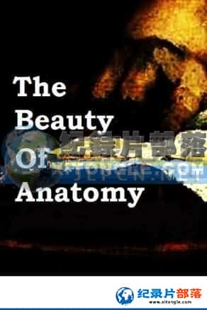 BBCռ¼Ƭ-ѧ֮Beauty of Anatomy-Ѹ