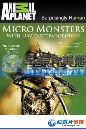  ¼Ƭ-ֳӽ硷Micro Monsters-Ѹ