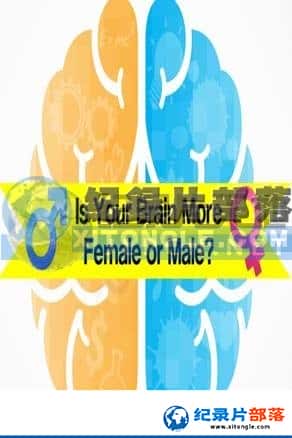 BBCռ¼Ƭ-ĴŮIs Your Brain More Female or Male?-Ѹ