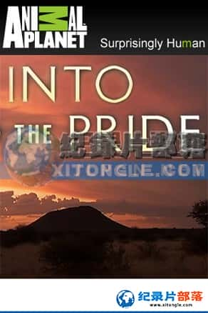  ¼Ƭ-{ȺInto the pride-Ѹ