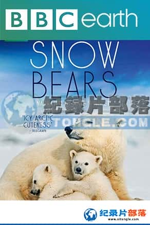 ¼Ƭ̤ѩѰܡSnow Bears-Ѹ