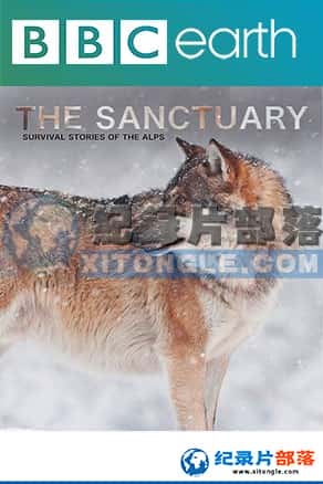 ¼Ƭӻ: ˹ɽ¡The Sanctuary: Survival Stories of the Alps-Ѹ