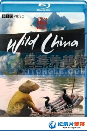 ½ؼ¼ƬйWild China-Ѹ