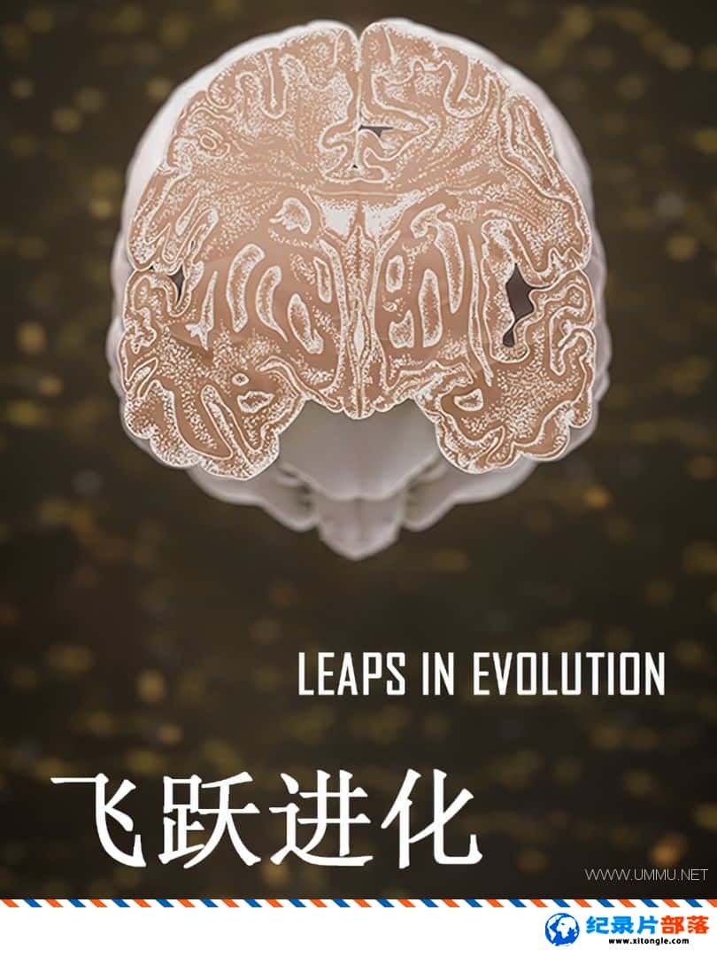 ѧ̽¼ƬԾ Leaps in Evolution 2015ȫ3 ӢӢ˫-Ѹ