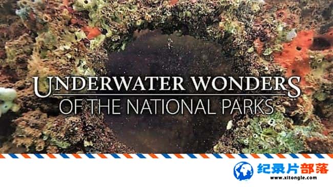 ̬¼Ƭҹ԰ˮ澰 Underwater Wonders of the National Parks 2016 ӢӢ-Ѹ