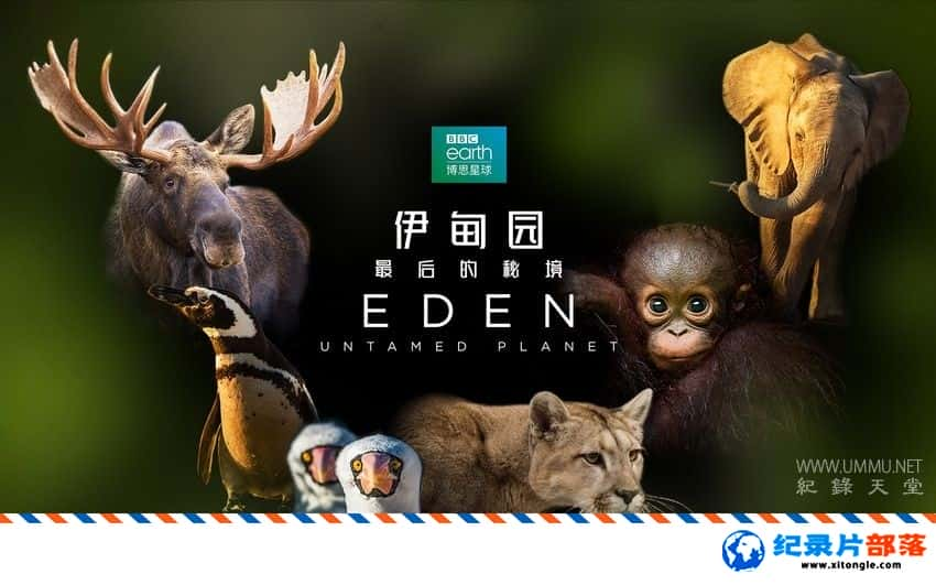 ̬¼Ƭ԰ ؾ Eden: Untamed Planet 2021 ӢӢ˫-Ѹ