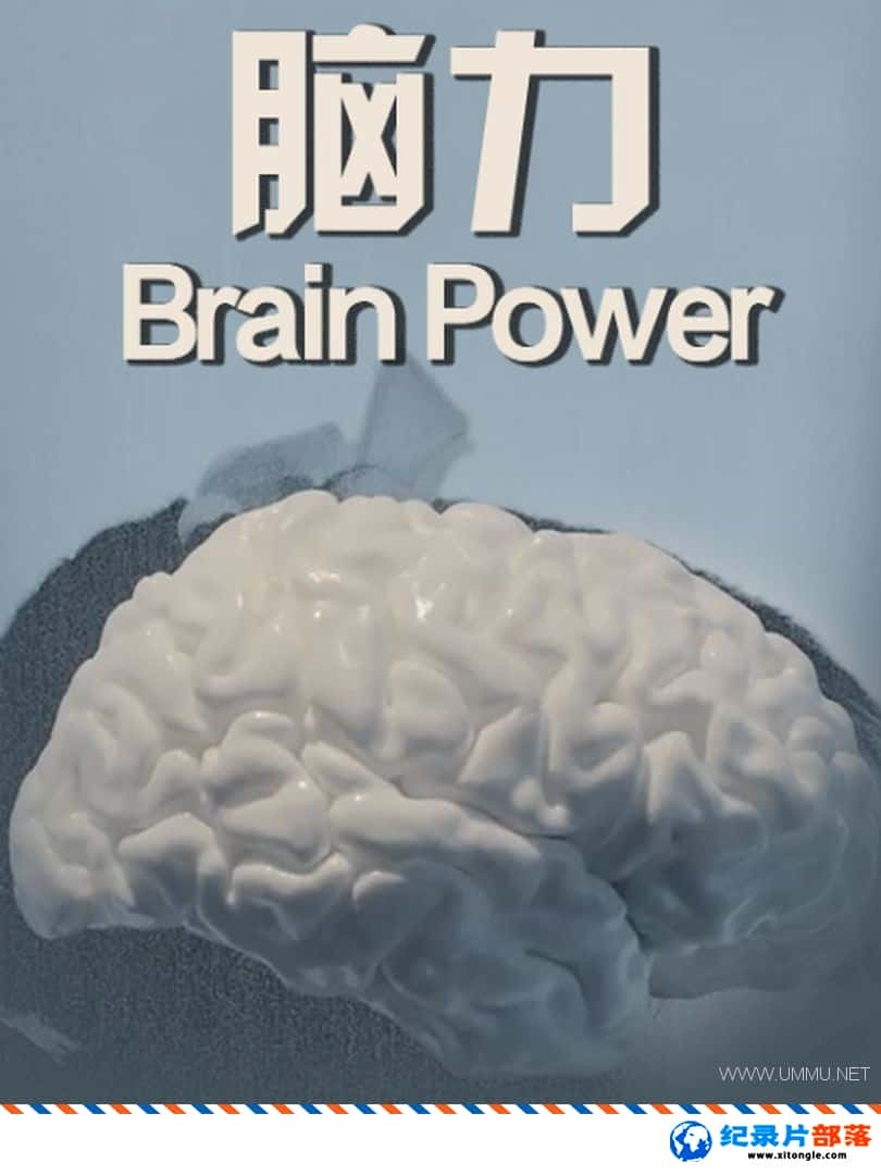 ѧ̽¼Ƭ Brain? Power Ӣ-Ѹ