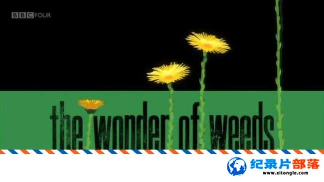 ̬¼ƬҰ The Wonder of WeedsӢ˫-Ѹ